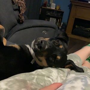 Meet your Posher, Spencer